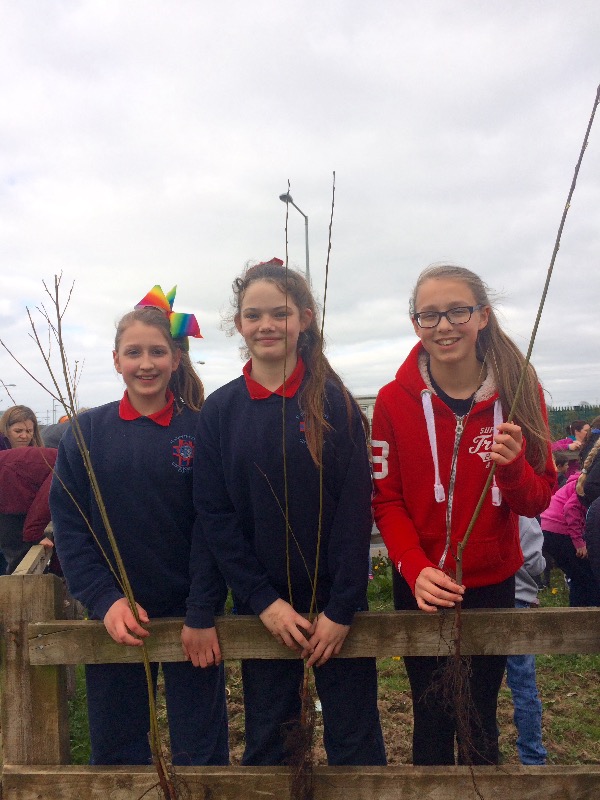 St. Patrick's Day Parade Tree Planting